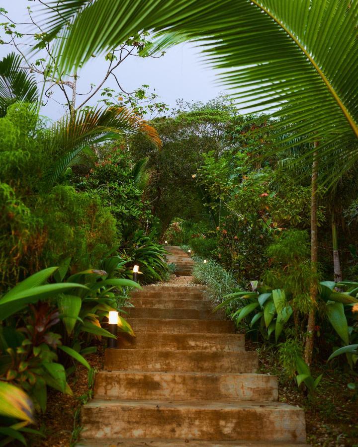 Vista Celestial Hotel Uvita Exterior foto